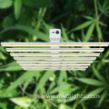 1000W Led Grow Light Plants From Underneath